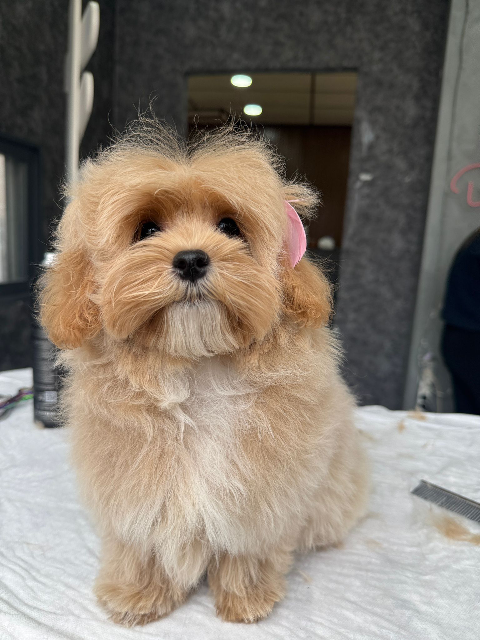 WhatsApp Image 2026-01-23 at 19.10.01 (2)